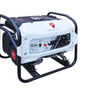 Planta Eléctrica DGR1300